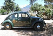 The Dung Beetle Bar at Barrydale Backpackers美食图片
