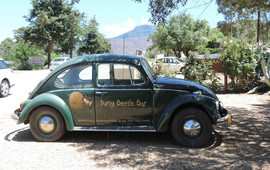 The Dung Beetle Bar at Barrydale Backpackers