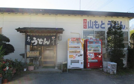 Yamamotodon