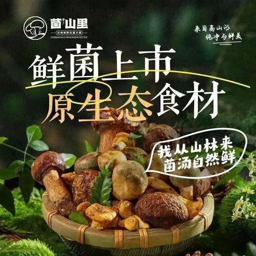 菌山里·云南野生菌火锅·猪肚包鸡火锅(新亚洲体育城店)