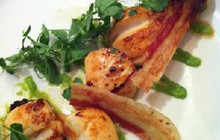 Tarantella Restaurant餐厅图片