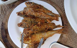 MASINGngo