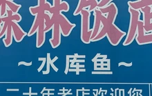 森林饭店餐厅图片