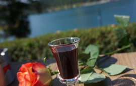 Vila Ajda Bled
