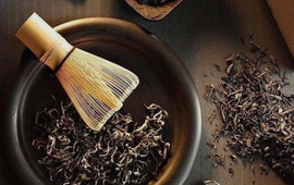 Estevia Herbal Tea Room