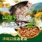 鲢花浪老成都肥肠鱼火锅(广安路店)
