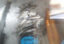 Lafond's Fish Market购物图片