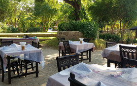 ART and Bagan Restaurant