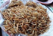 Talat Warorot美食图片