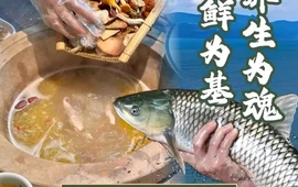 正宗抚仙湖石锅鱼野生菌