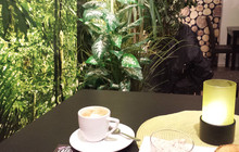 Kickis Cafe餐厅图片