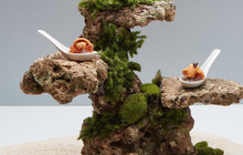 Bonsai Japanese Restaurant餐厅图片