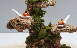 Bonsai Japanese Restaurant