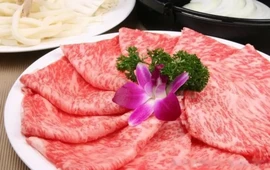 老瘾客火锅(黑水分店)
