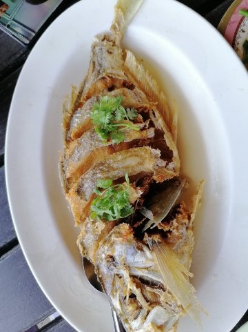 Kin Lom Chom Pla