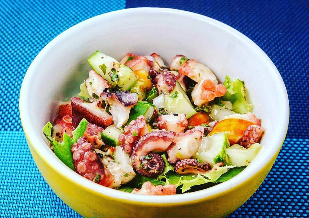 SeaCat