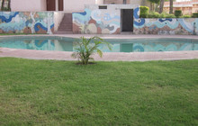 Betwa Retreat餐厅图片