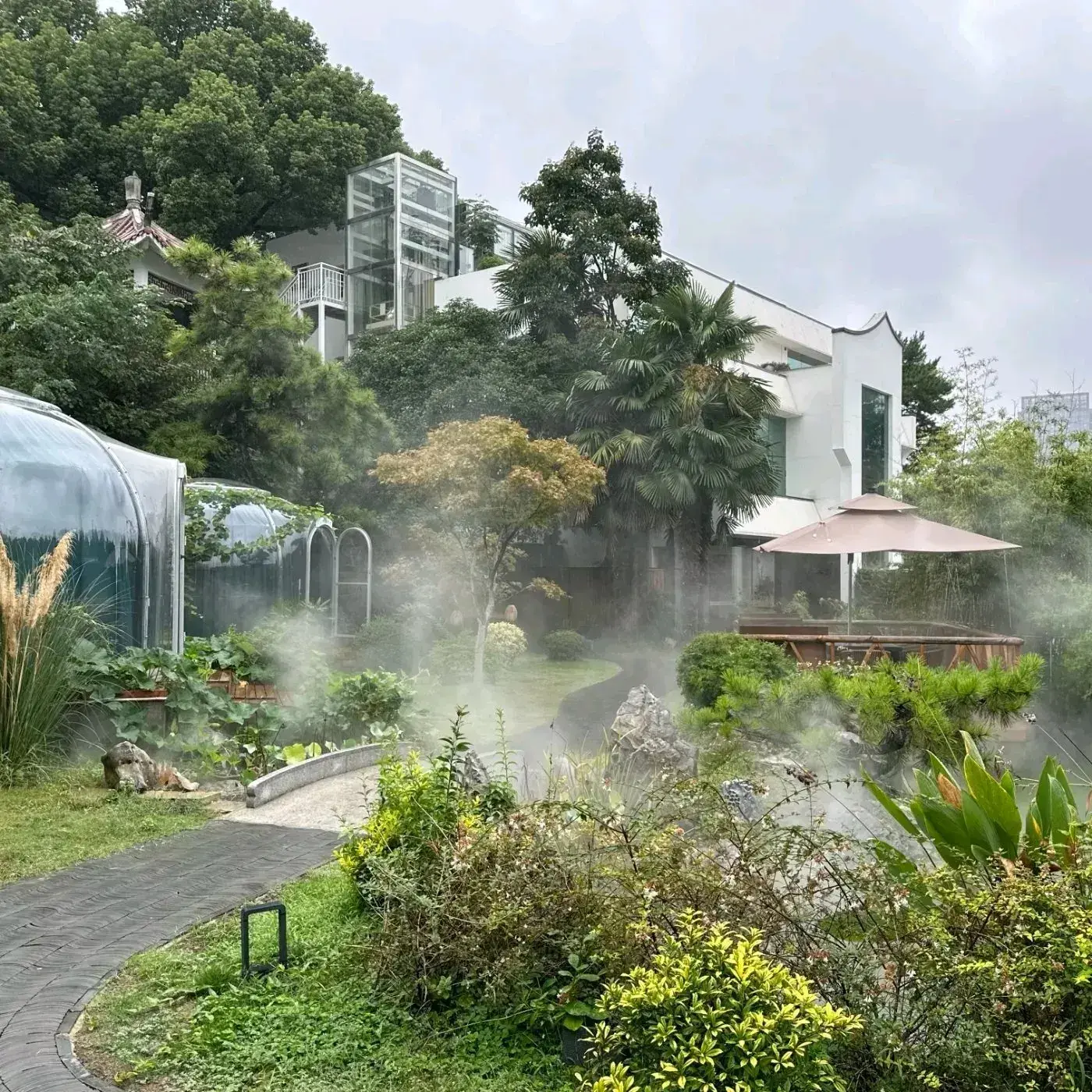 十二厨·土菜雅院