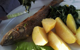 Restoran Zagreb
