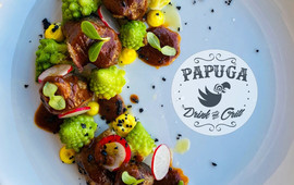 Papuga