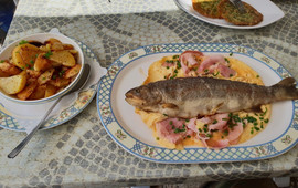 Forellenhof