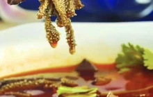 古月楼(G354店)餐厅图片
