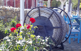 La Caru' cu Scoici