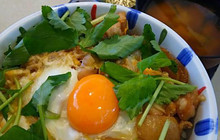 Koraku Pork Cutlet餐厅图片