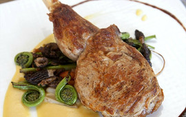 Olivella