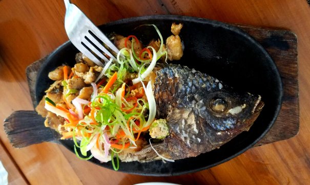 Terraza Cafe and Restaurant