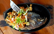 Terraza Cafe and Restaurant餐厅图片