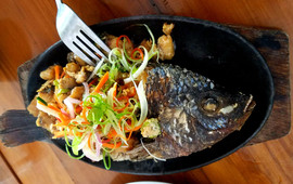 Terraza Cafe and Restaurant