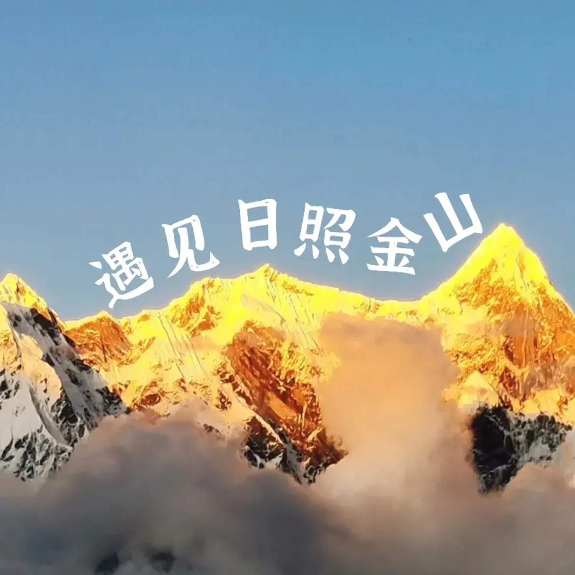 平措康桑·雪里桃花和牛自助观景餐厅(南迦巴瓦峰日照金山店)餐厅图片