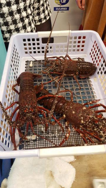 Funado no Banya Restaurant