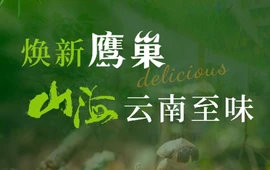 昆明春城湖畔度假村·鹰巢餐厅