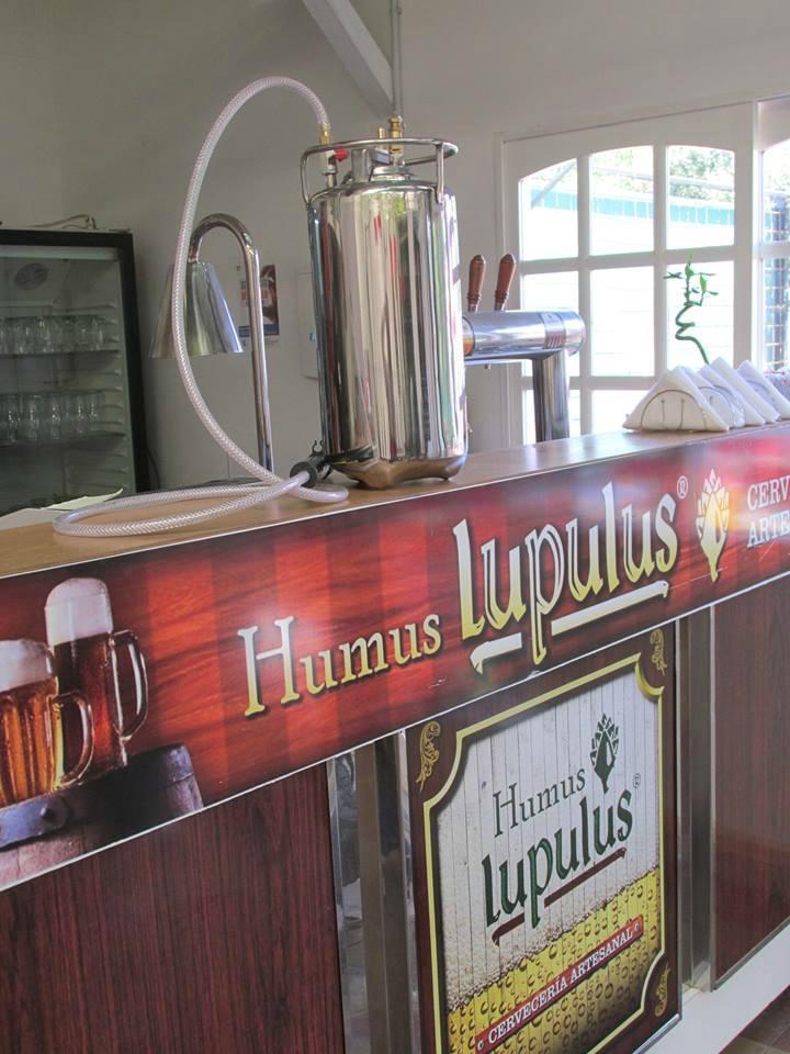 Humus Lupulus