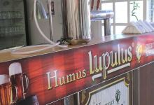 Humus Lupulus美食图片