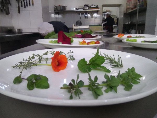 Cocina Mitho Chha