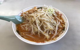 Yoshino Kamikawa