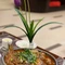 漠河金马饭店-餐厅