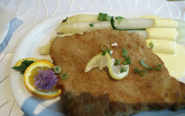 Eiderstedter Krog