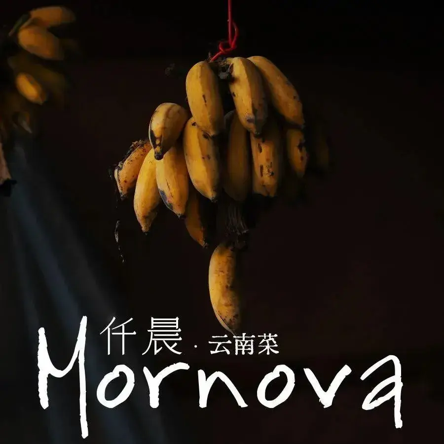 昆明晟世仟和酒店·仟晨云南菜餐厅图片
