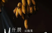 昆明晟世仟和酒店·仟晨云南菜餐厅图片