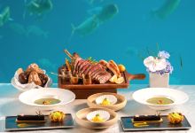 三亚海棠湾洲际度假酒店·涛·海底餐厅美食图片