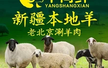 羊尚鲜老北京涮羊肉(华东容锦店)餐厅图片