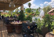 Palmira Jardin Bar & Grill美食图片