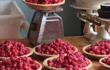 Snohomish Pie Company餐厅图片
