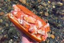 Little Harbor Lobster Company购物图片