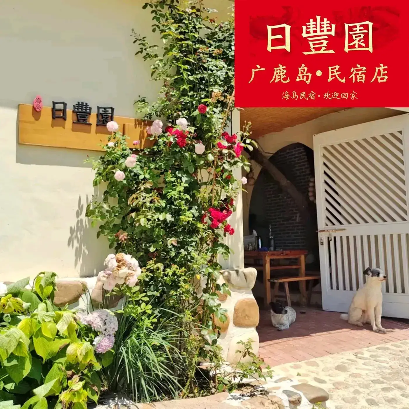 日丰园·海岛民宿(广鹿岛店)餐厅图片