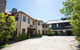 Taneya Hikonemihorinoya